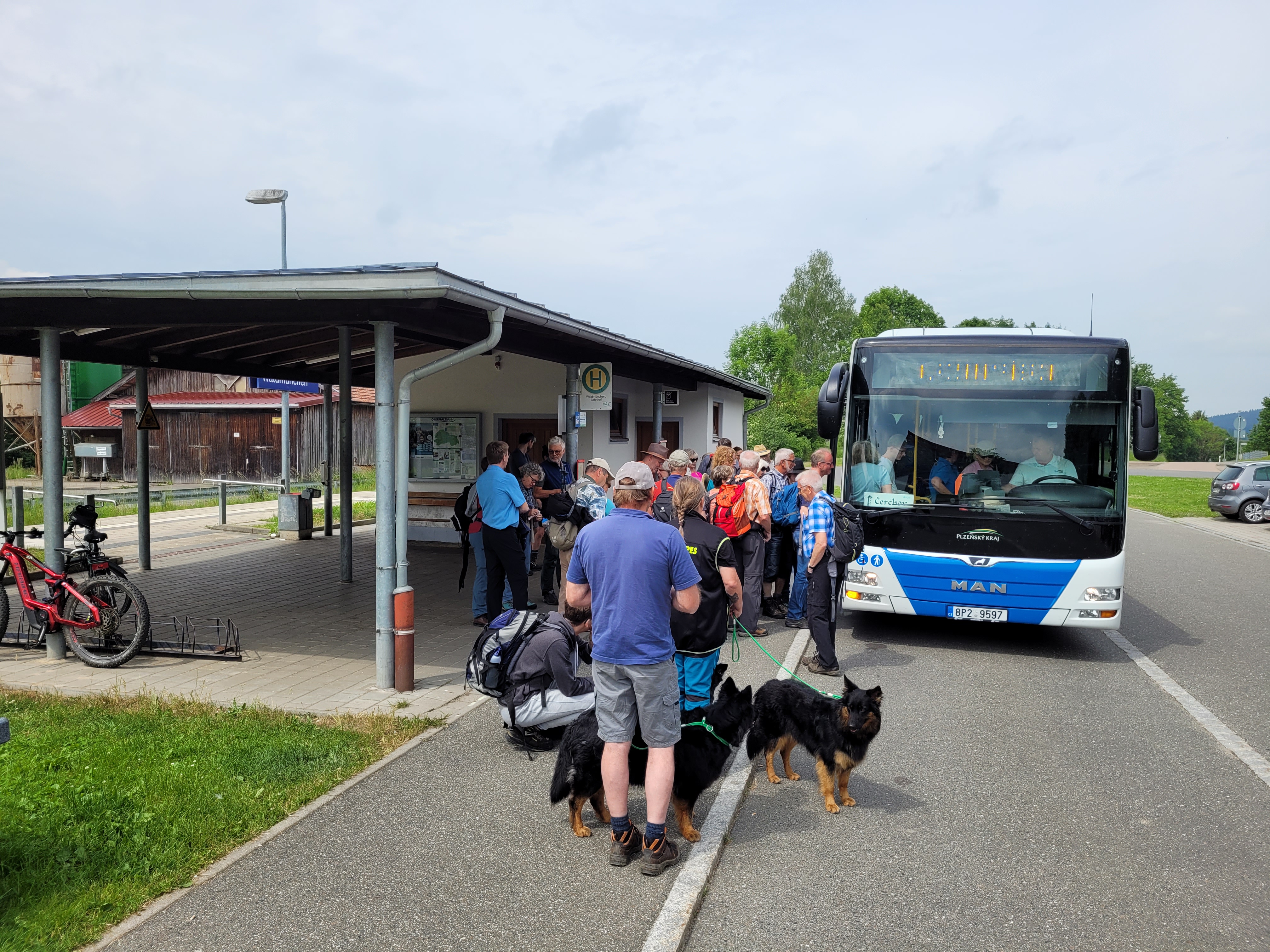 Zur Pressemeldung: Den Bayerischen Wald mit dem Freizeitbus entdecken 