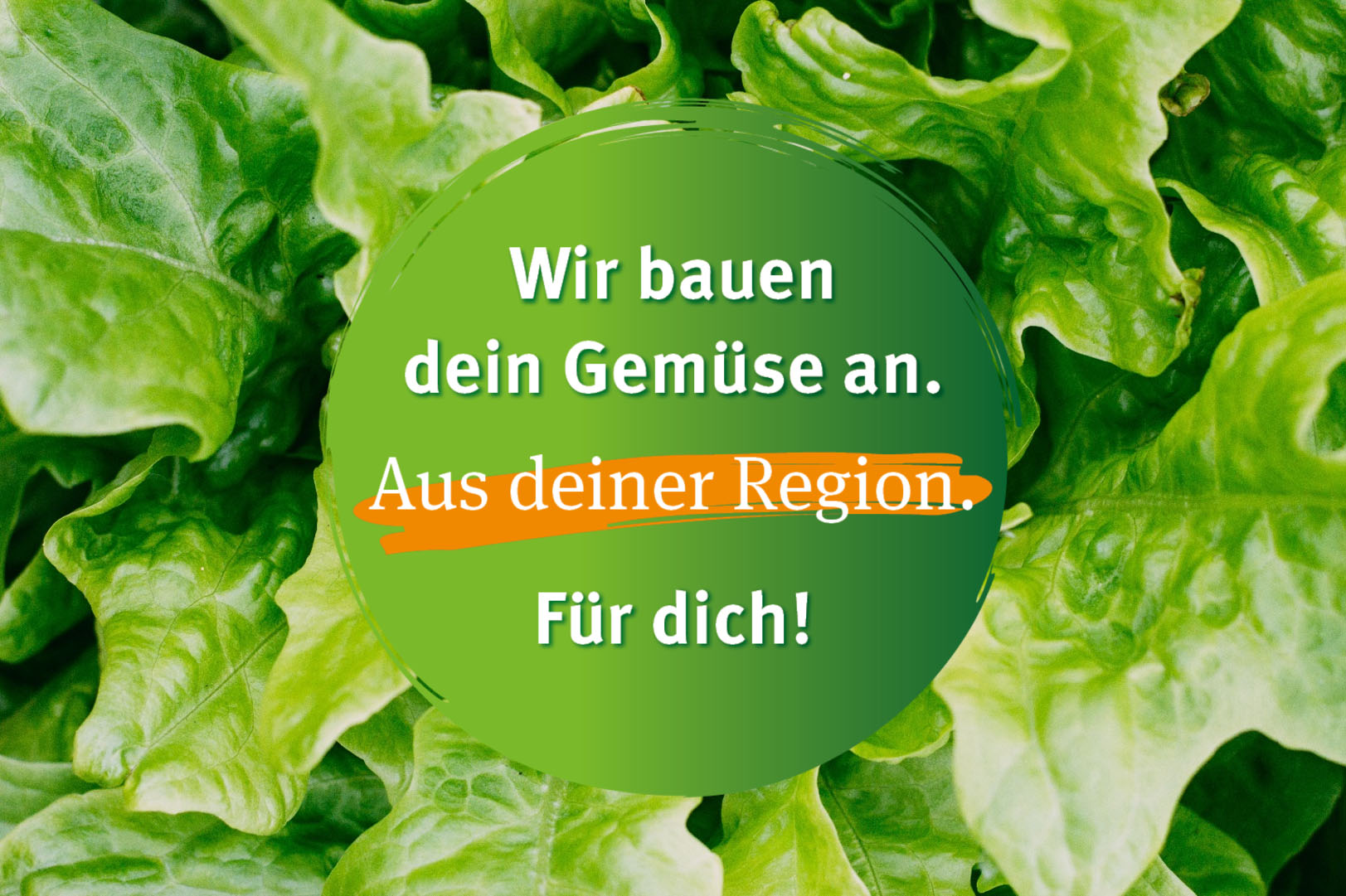 Salat mit Beschriftung: Wir bauen Dein Gemüse an. Aus Deiner Region.