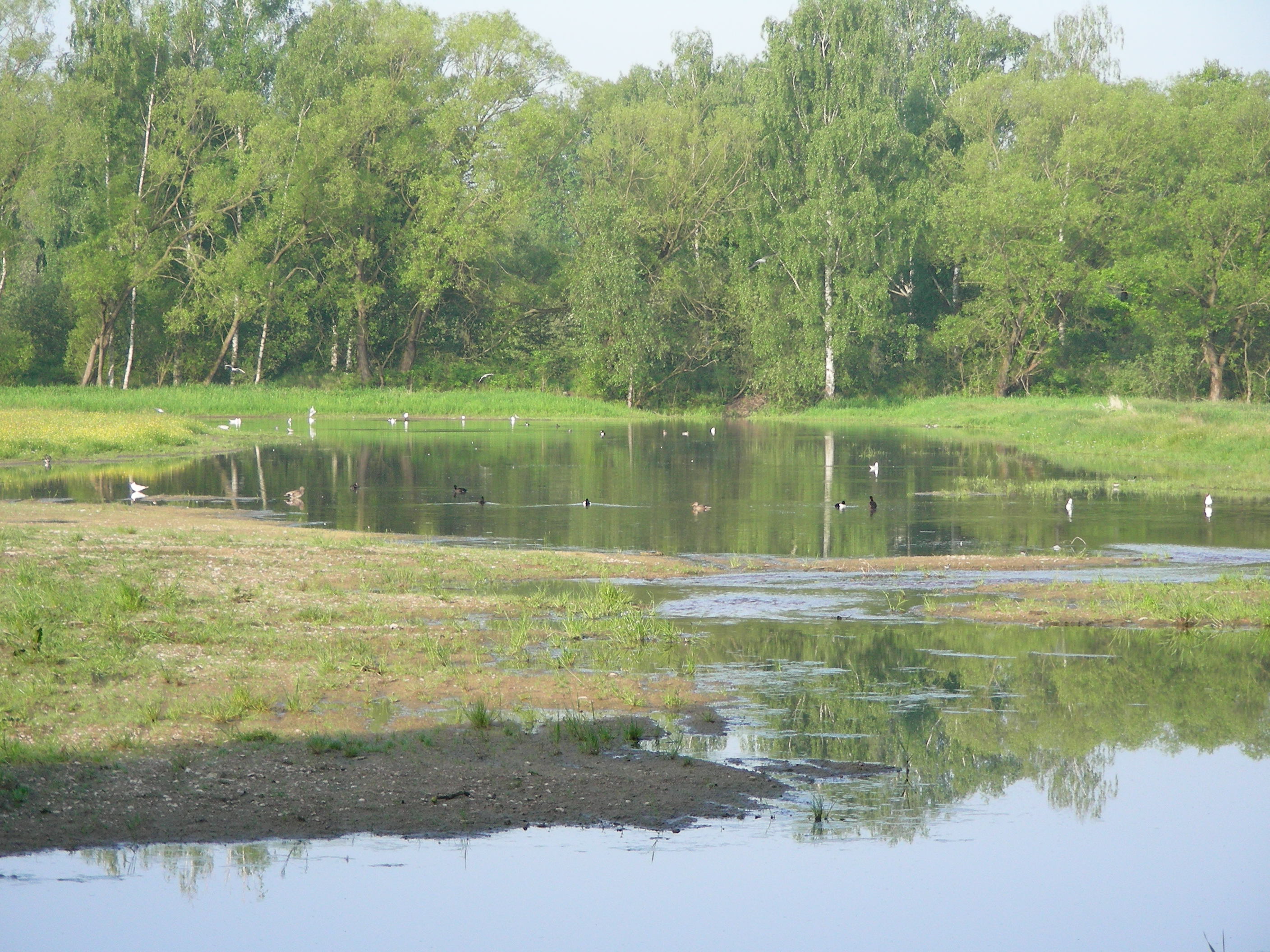 Biotopgestaltung