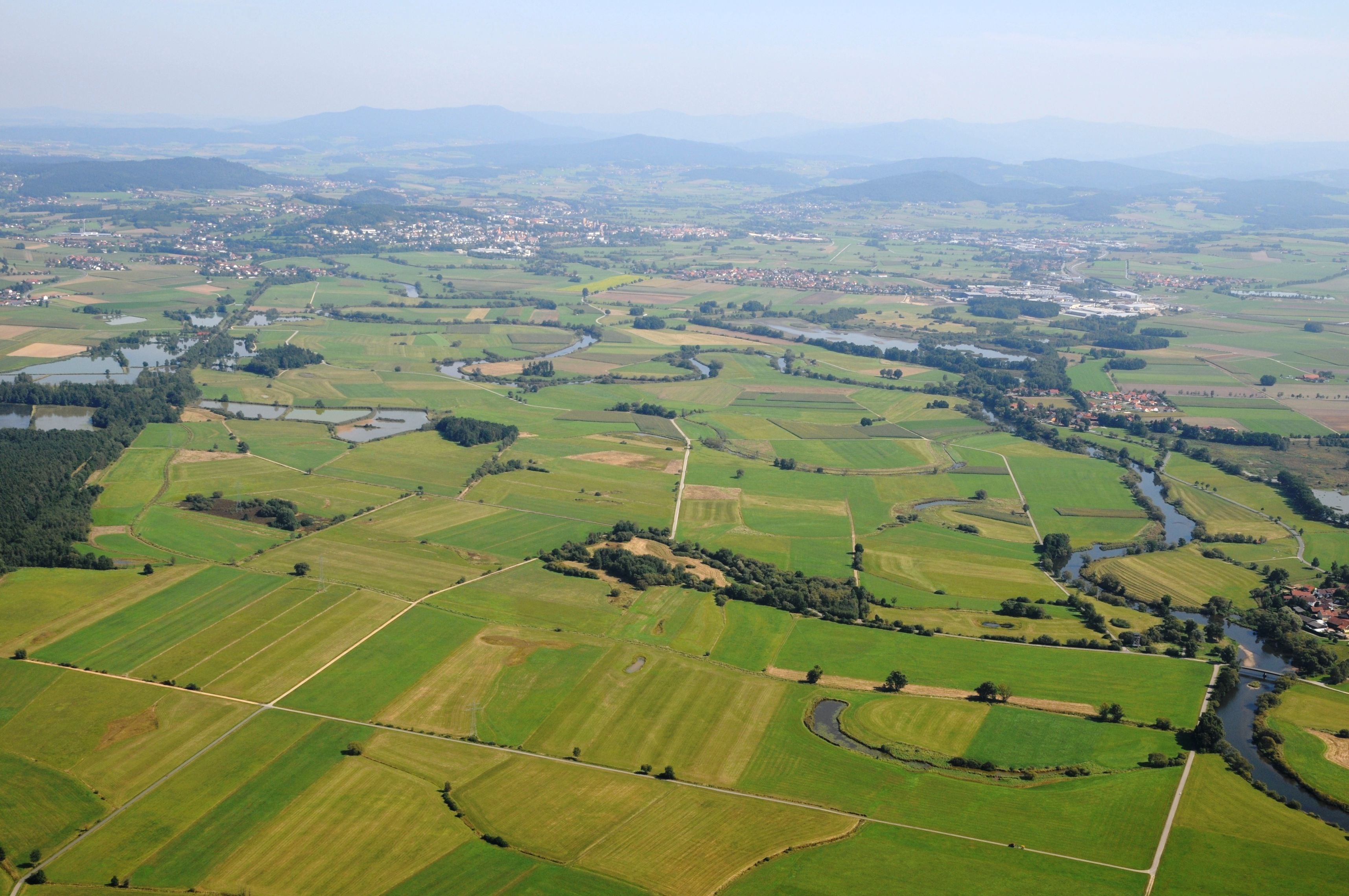 Regentalaue - Hintergrund Stadt Cham