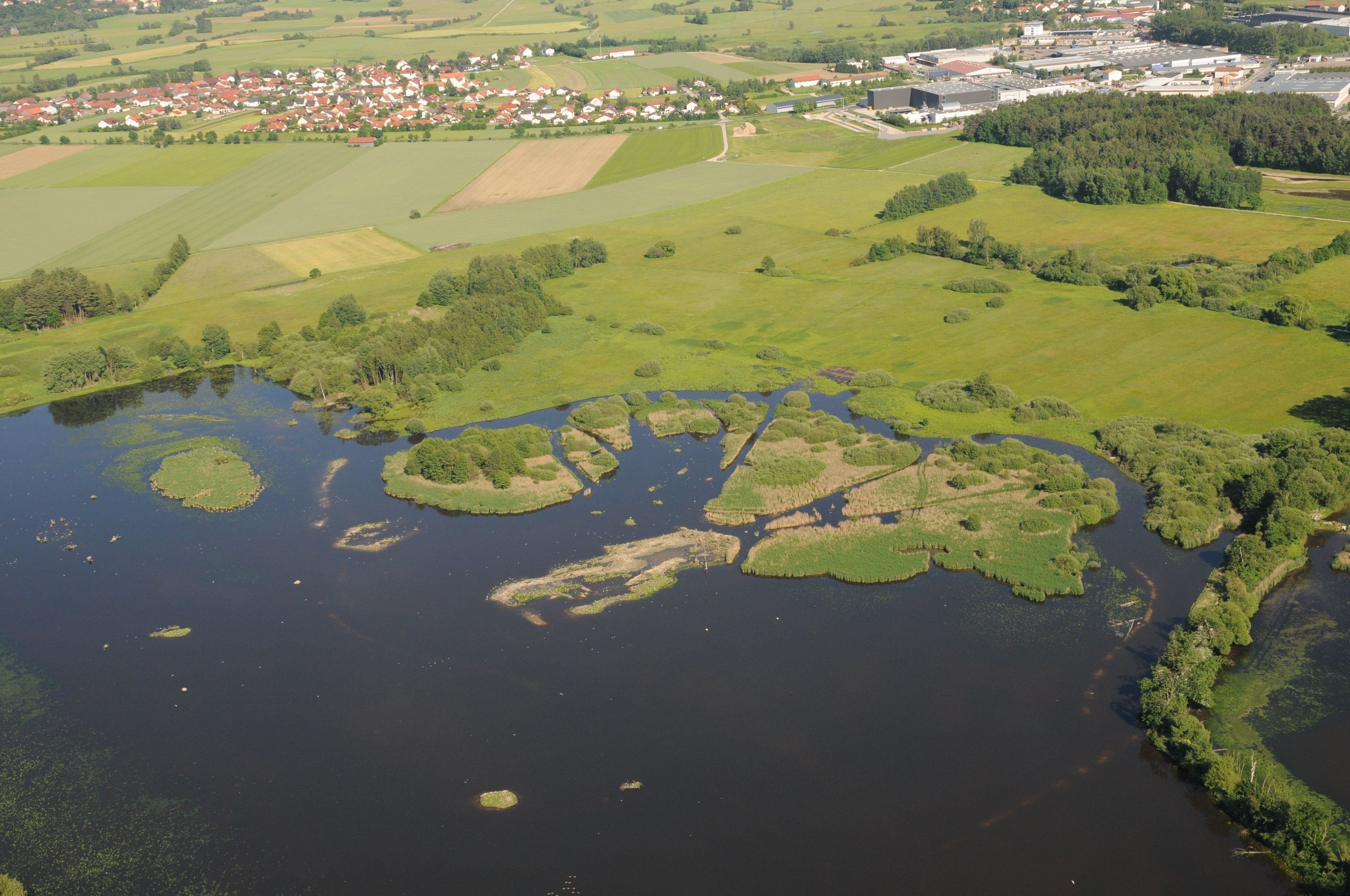 Verlandungszone Rötelsee-Weiher