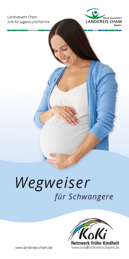 Zur Unterseite der Landkreis Homepage: Wegweiser für Schwangere
