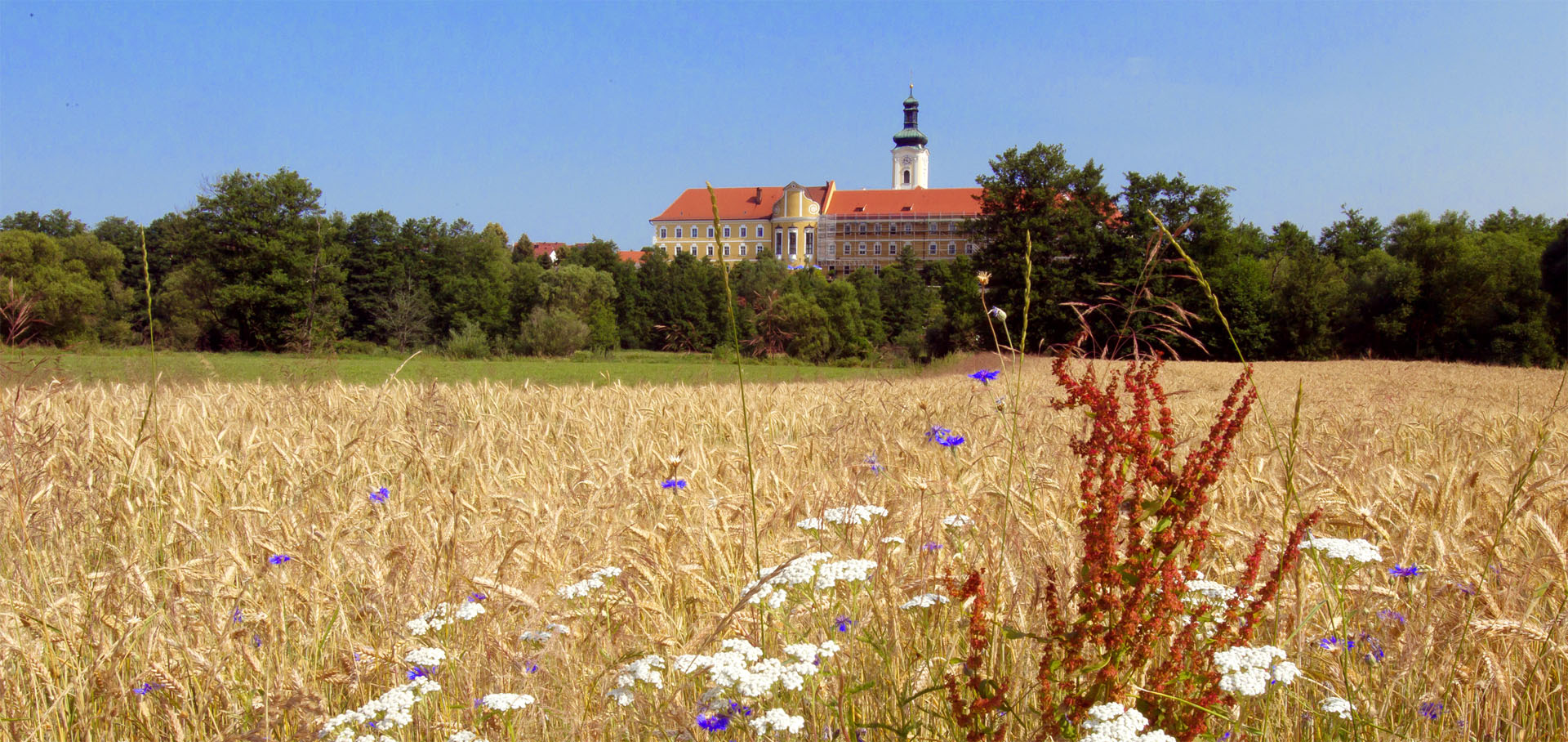 Außenaufnahme Kreismuseum Walderbach inmitten der Natur