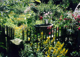 Vereinwettbewerb (3) Bauerngarten