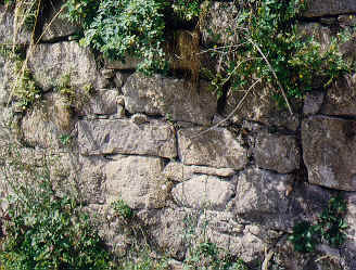 Lebensraum Trockenmauer