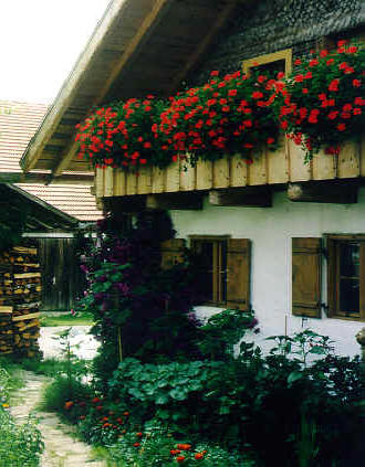 Blumen- und Grünschmuck an einem Haus
