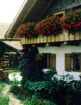 Vereinwettbewerb (5) Blumen- und Grünschmuck an einem Haus