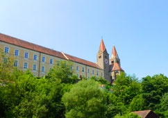 grüner Regenanger vor Kloaster Reichenbach