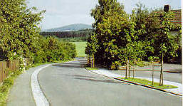 Erschließungsstraße mit Grünstreifen und Straßenbaumpflanzungen