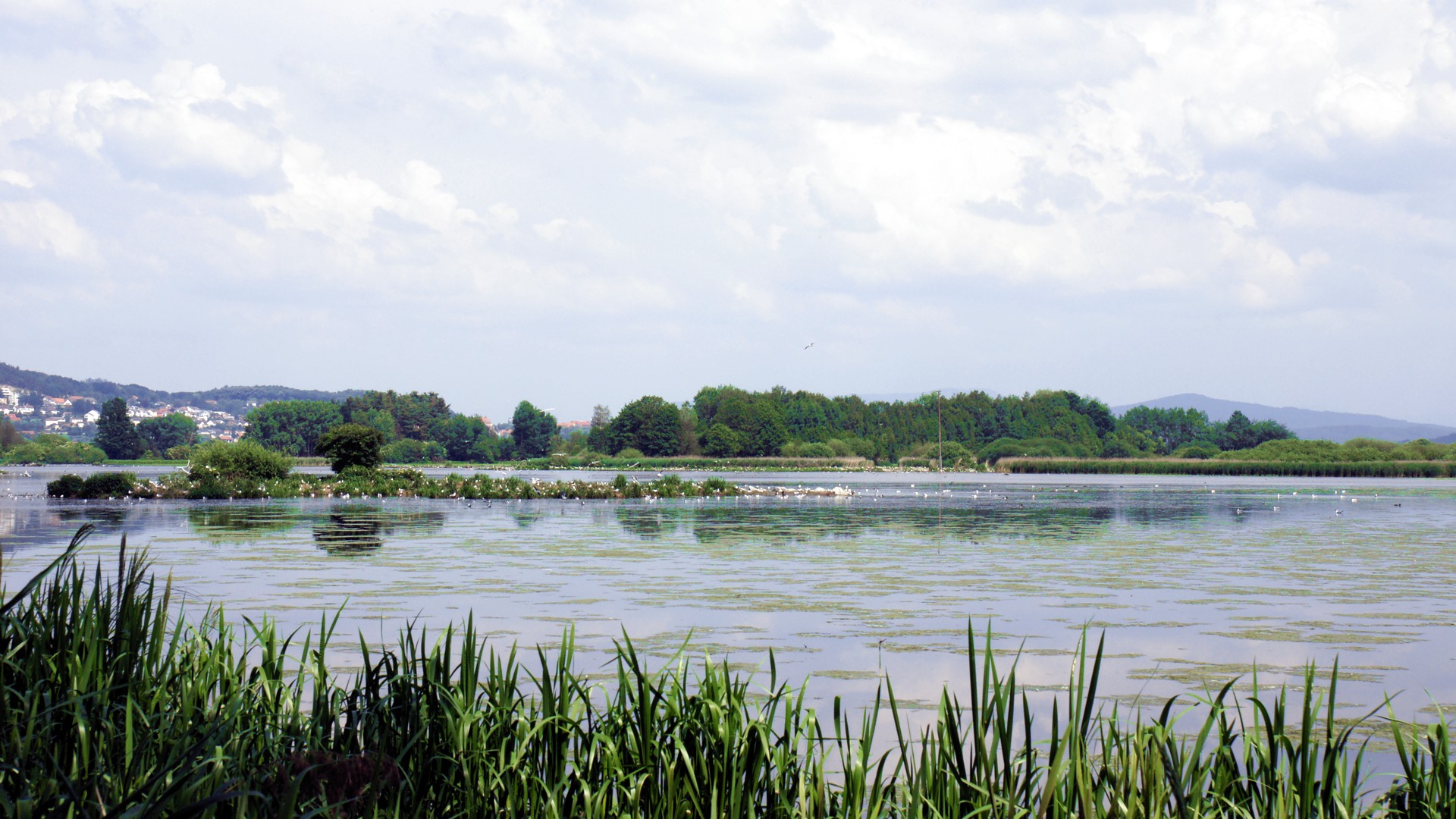 Großer Rötelseeweiher