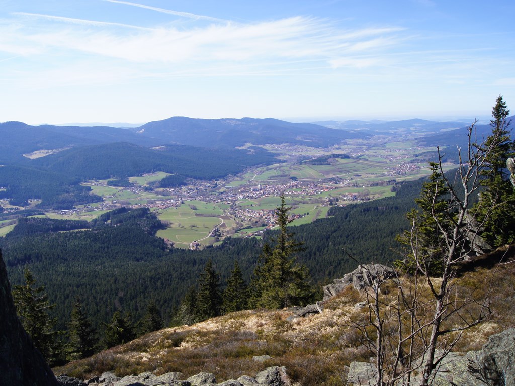 Zur externen Seite Naturpark unter www.bayerischer-wald.org