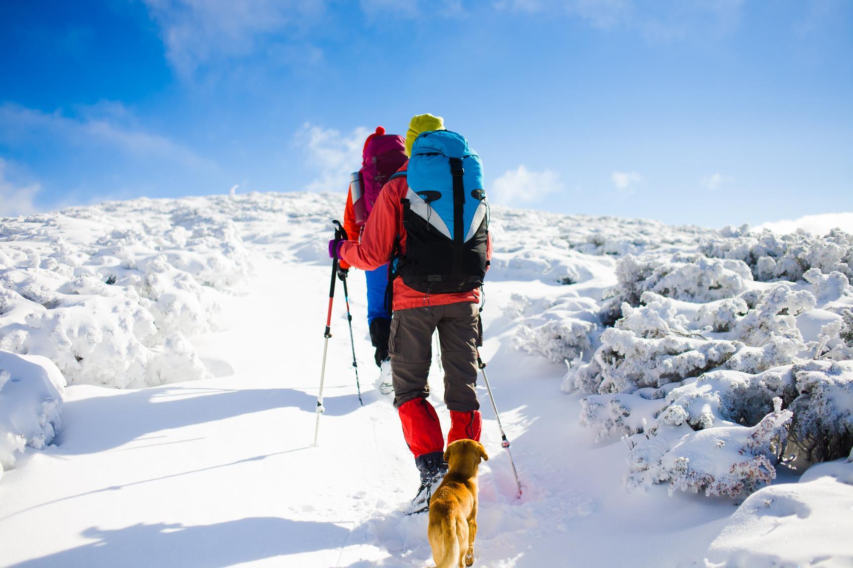 Winterwanderer mit Hund