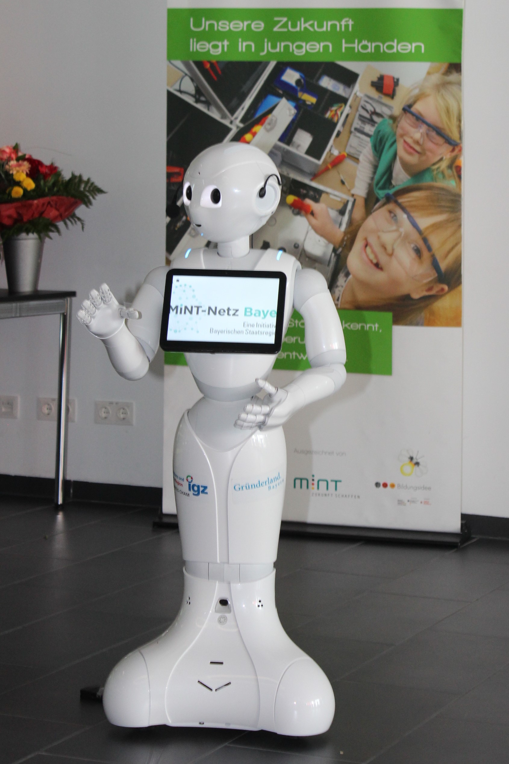 Pepper 2019 Humanoider Roboter Pepper