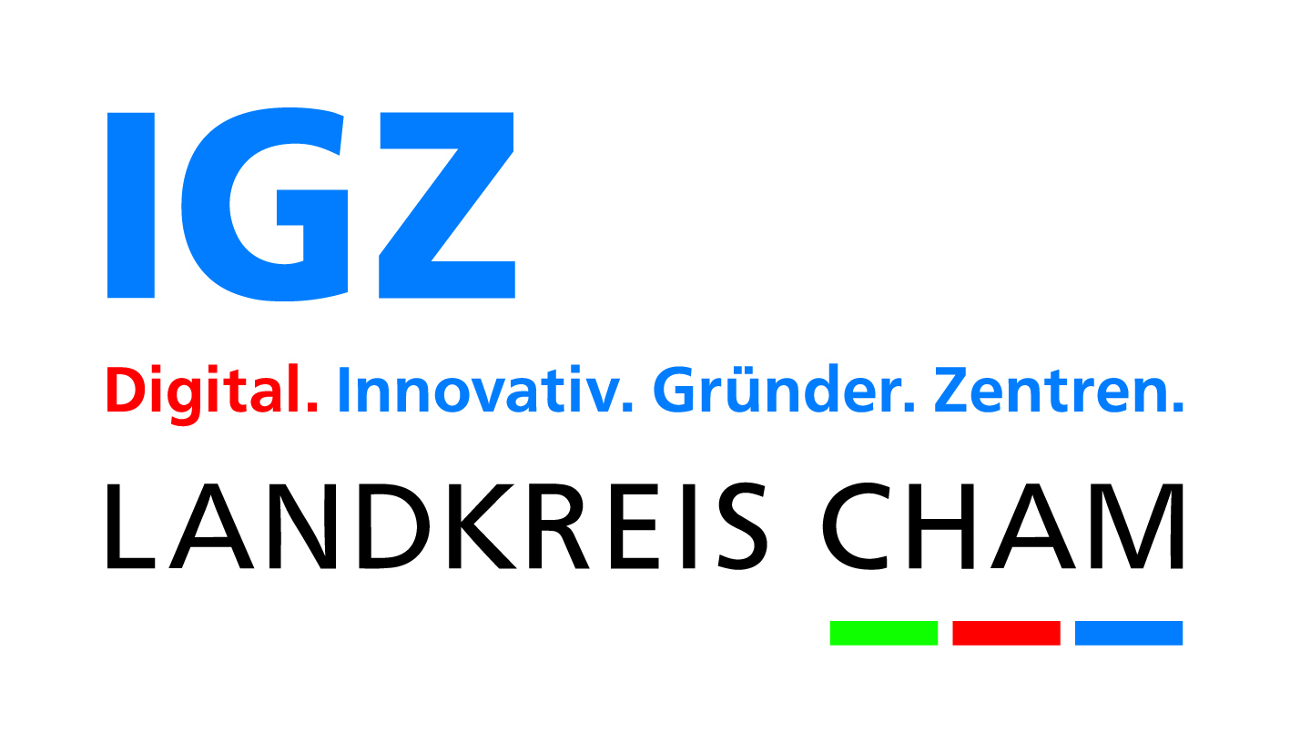 Zur externen Seite Innovations- und Gründerzentren unter igz-cham.de