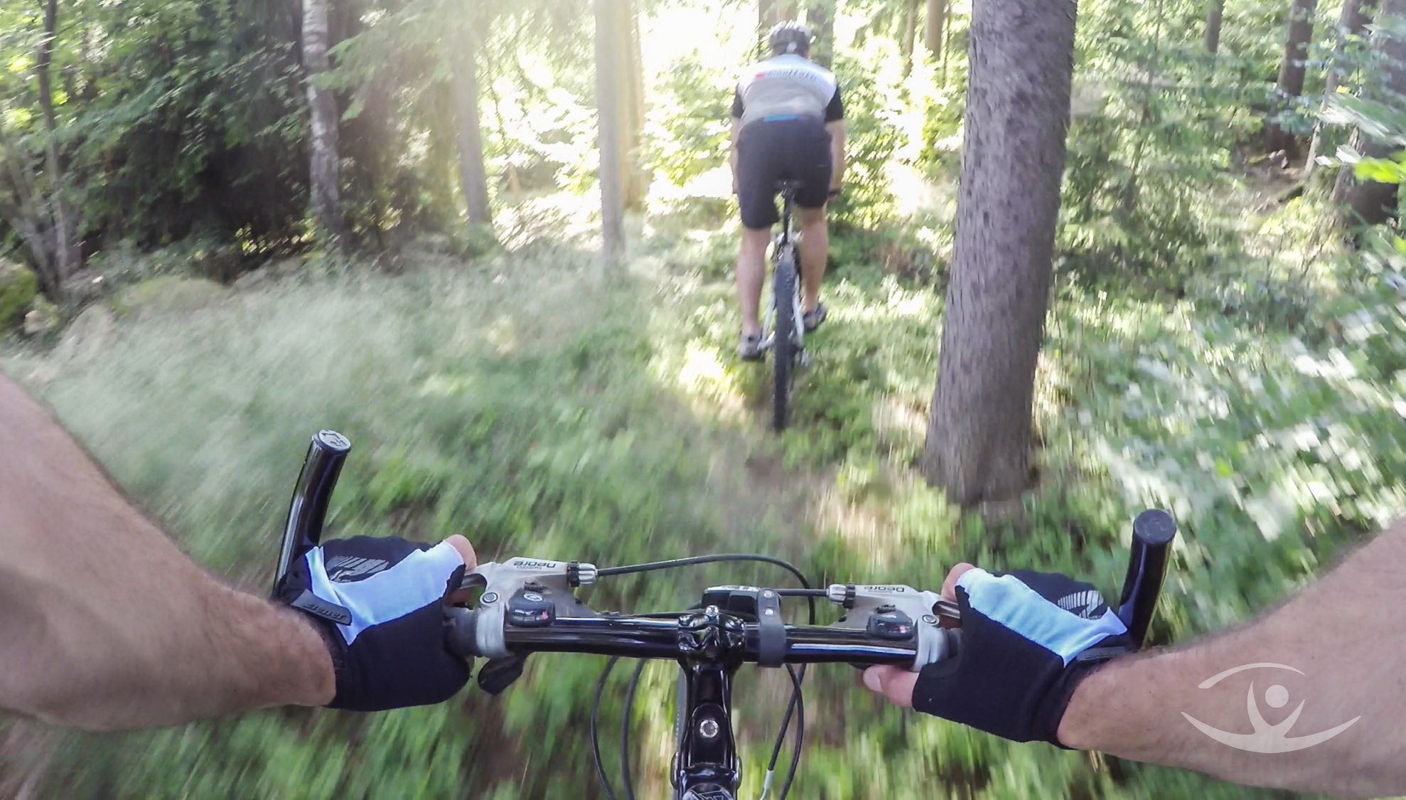 Mountainbiker im Wald