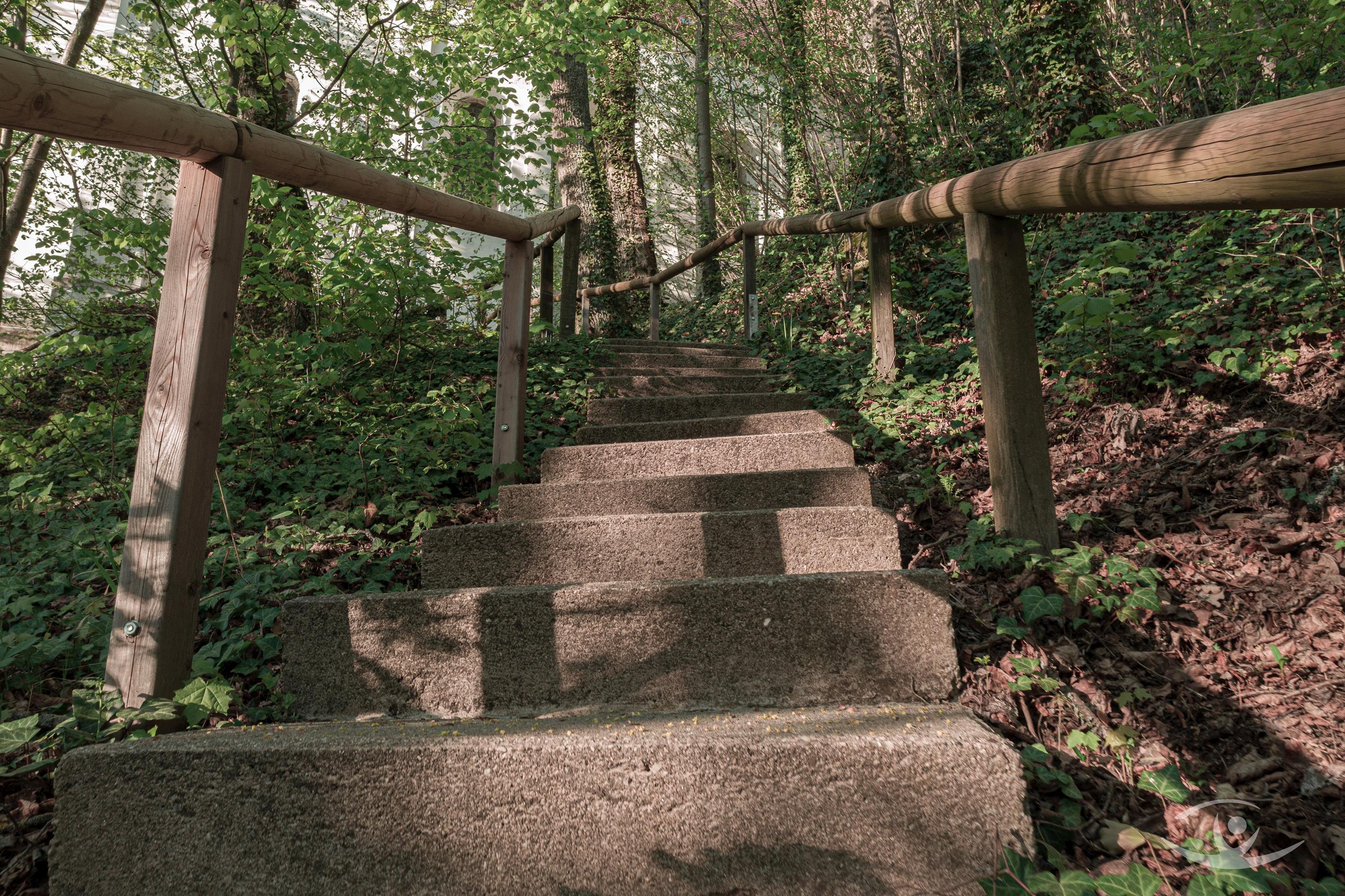 Betonsteintreppe mit Holzhandlauf im Wald