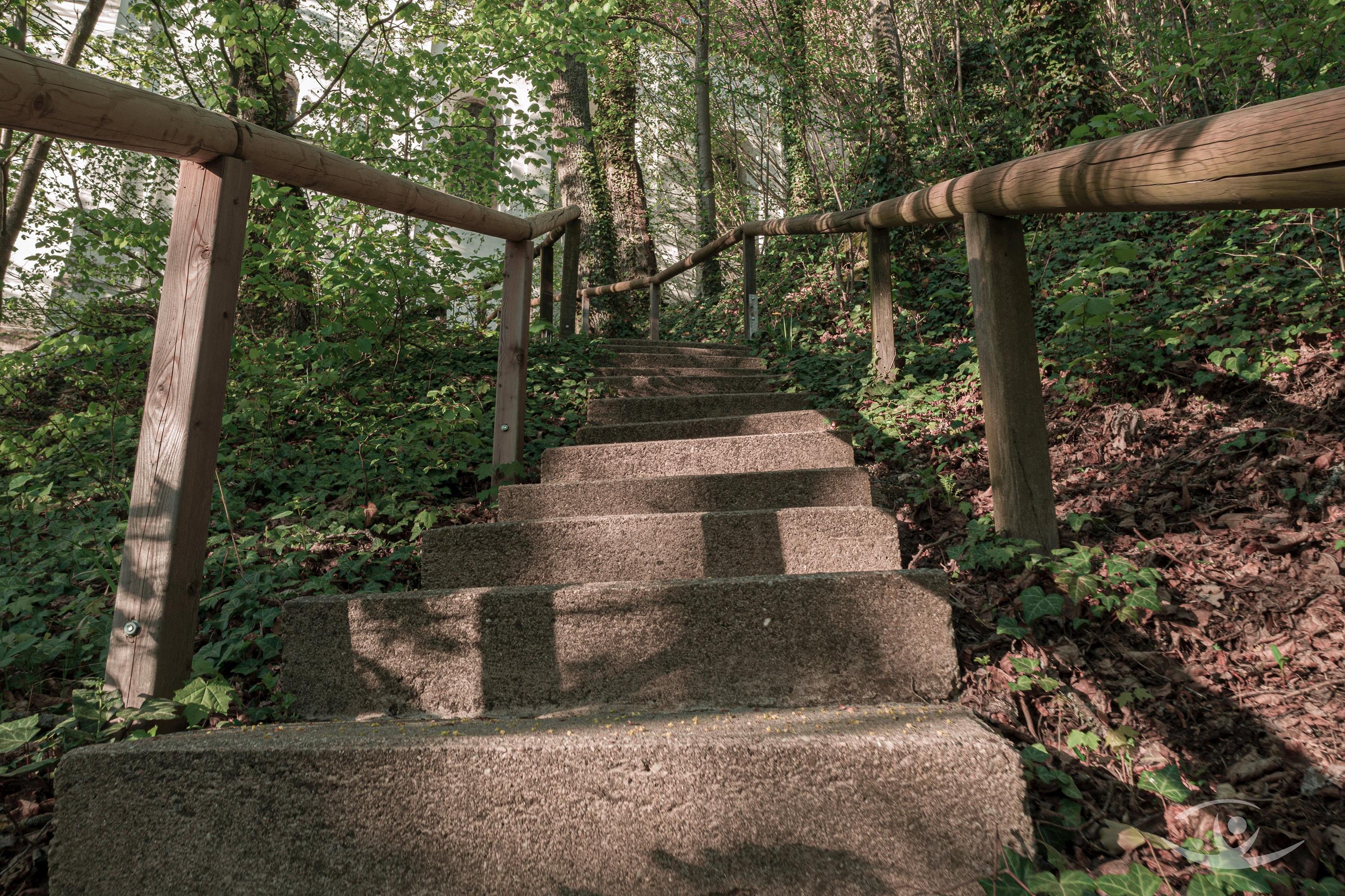 Schlosspark Falkenstein