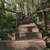 Betonsteintreppe mit Holzhandlauf im Wald