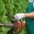 Gärtner schneidet Hecke mit einer Motor-Heckenschere