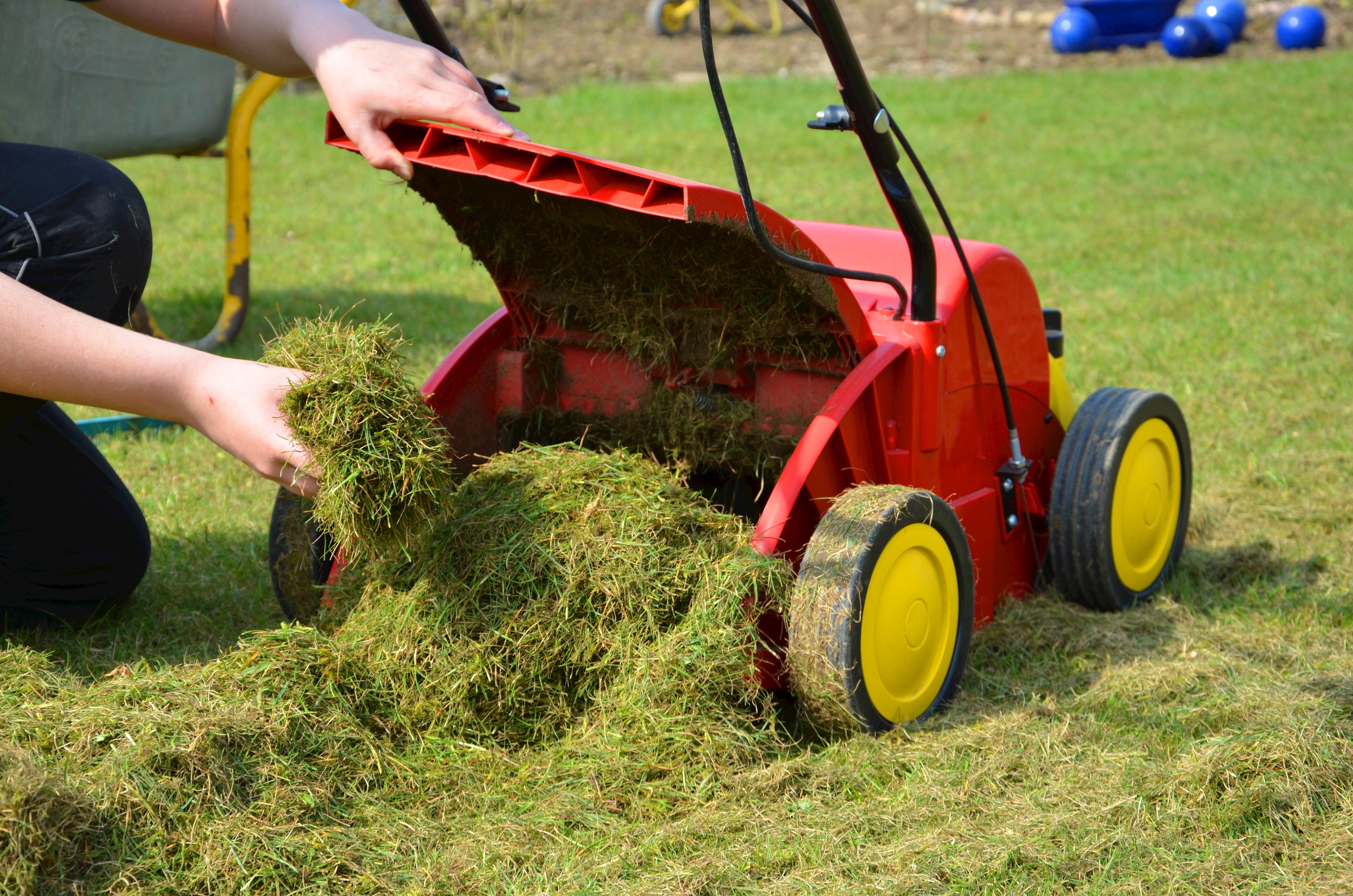 Rasenmäher mit Grasschnitt