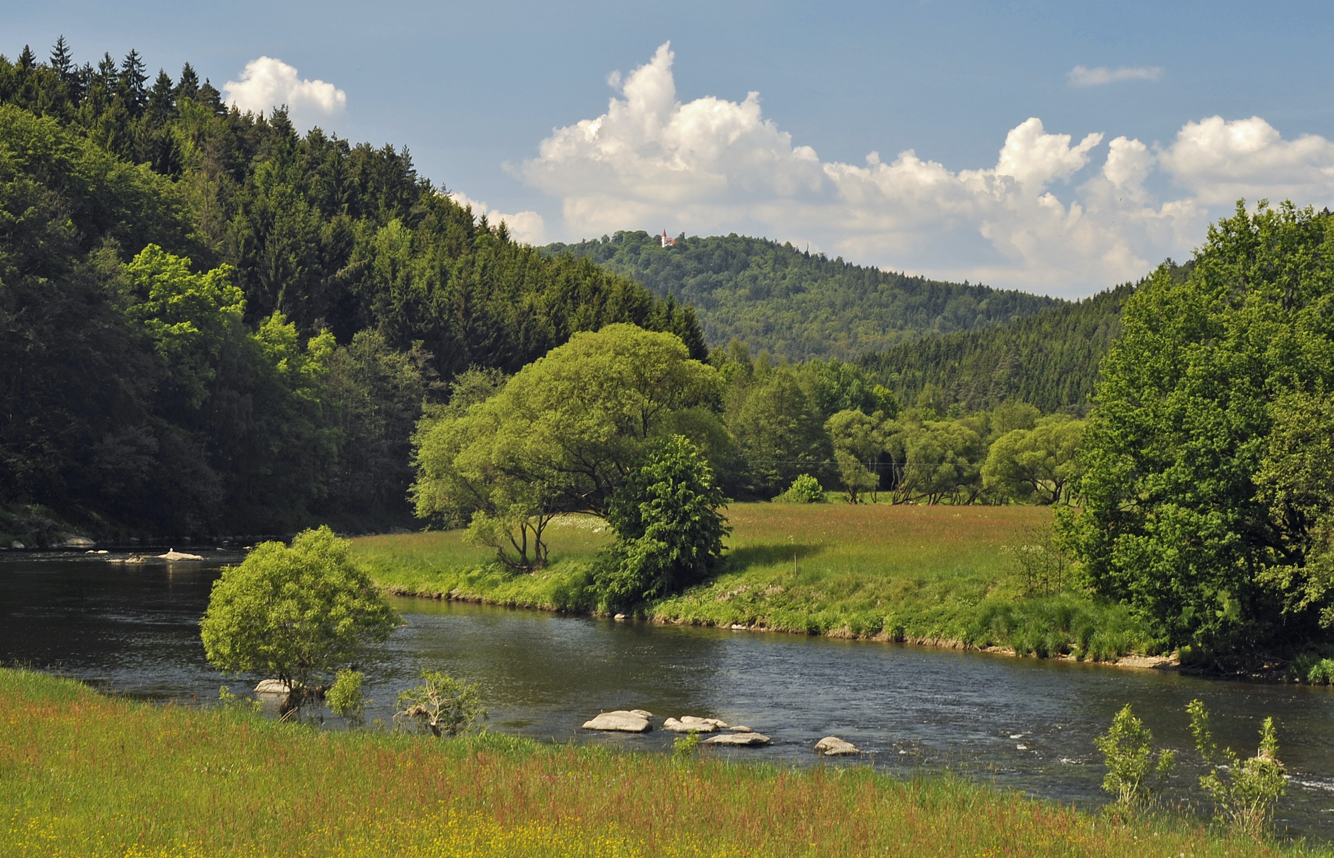 Flußschleife des Regens mit Steininseln bei Lamberg