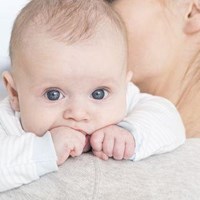 fotolia_114147480.jpg