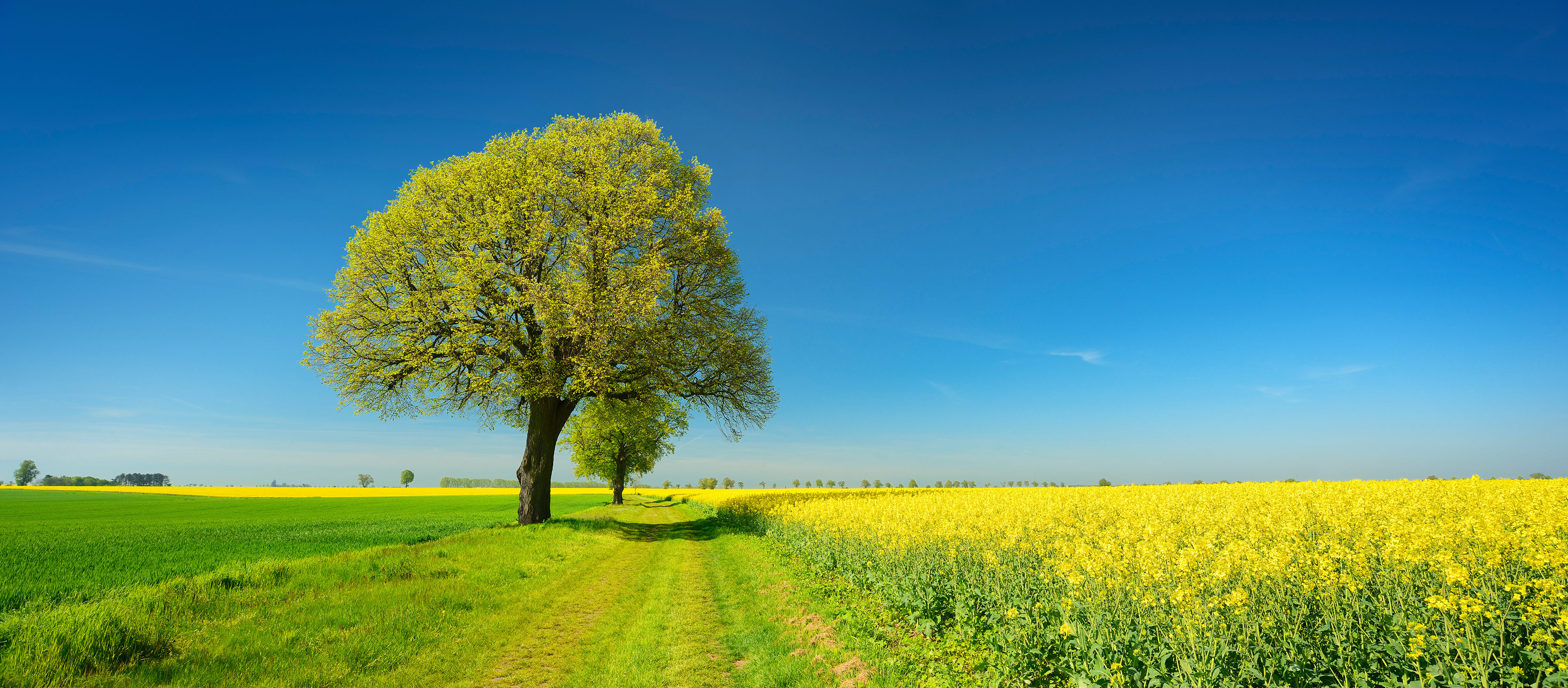 Zur Unterseite der Landkreis Homepage: Klimaschutzmanagement