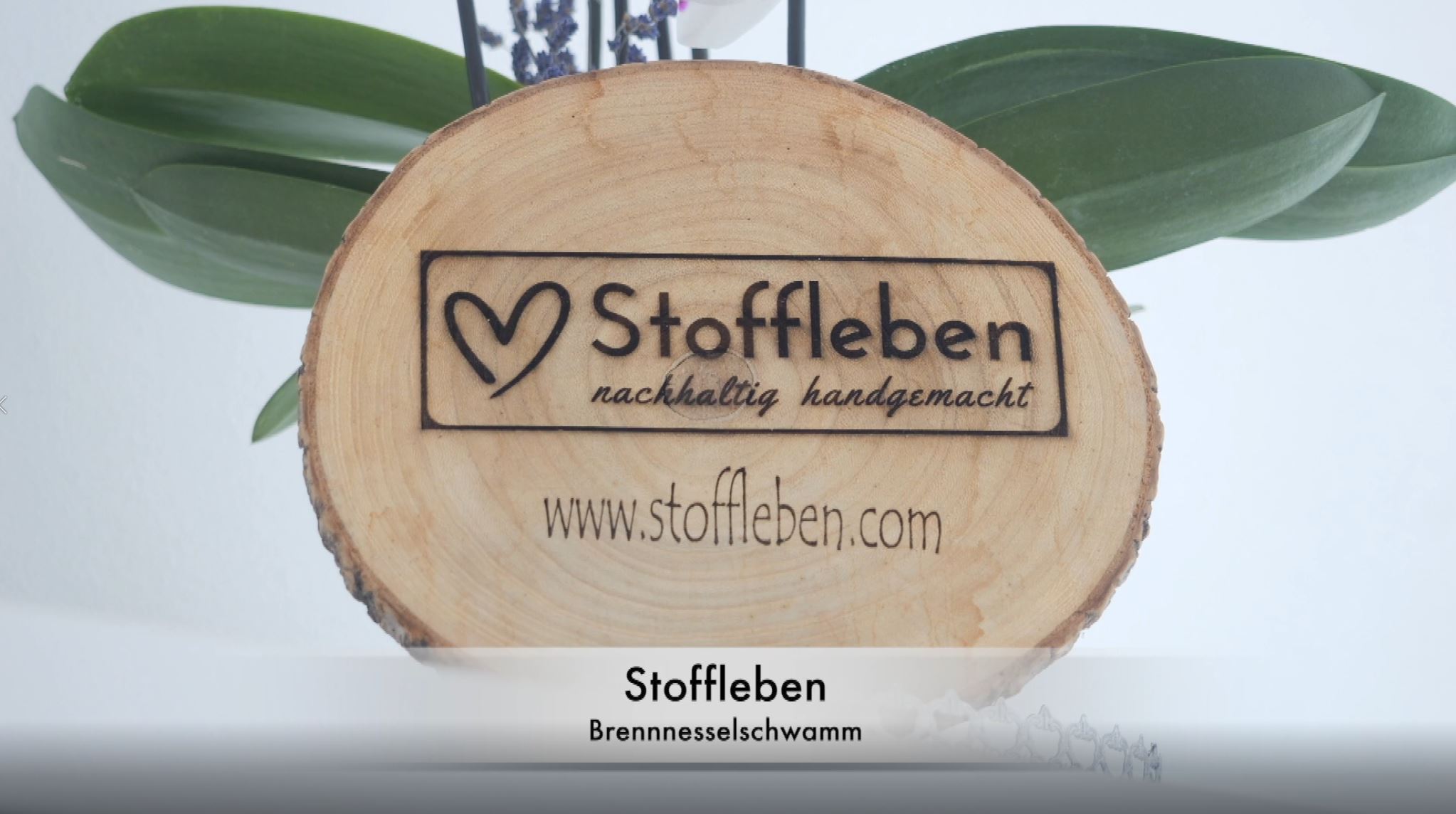 zur externen Seite: Stoffleben | Brennnesselschwamm - unter www.youtube.com