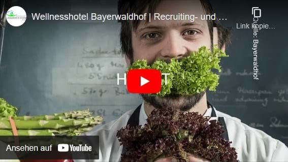 Youtube - Inno2019 - Bayerwaldhof.jpg