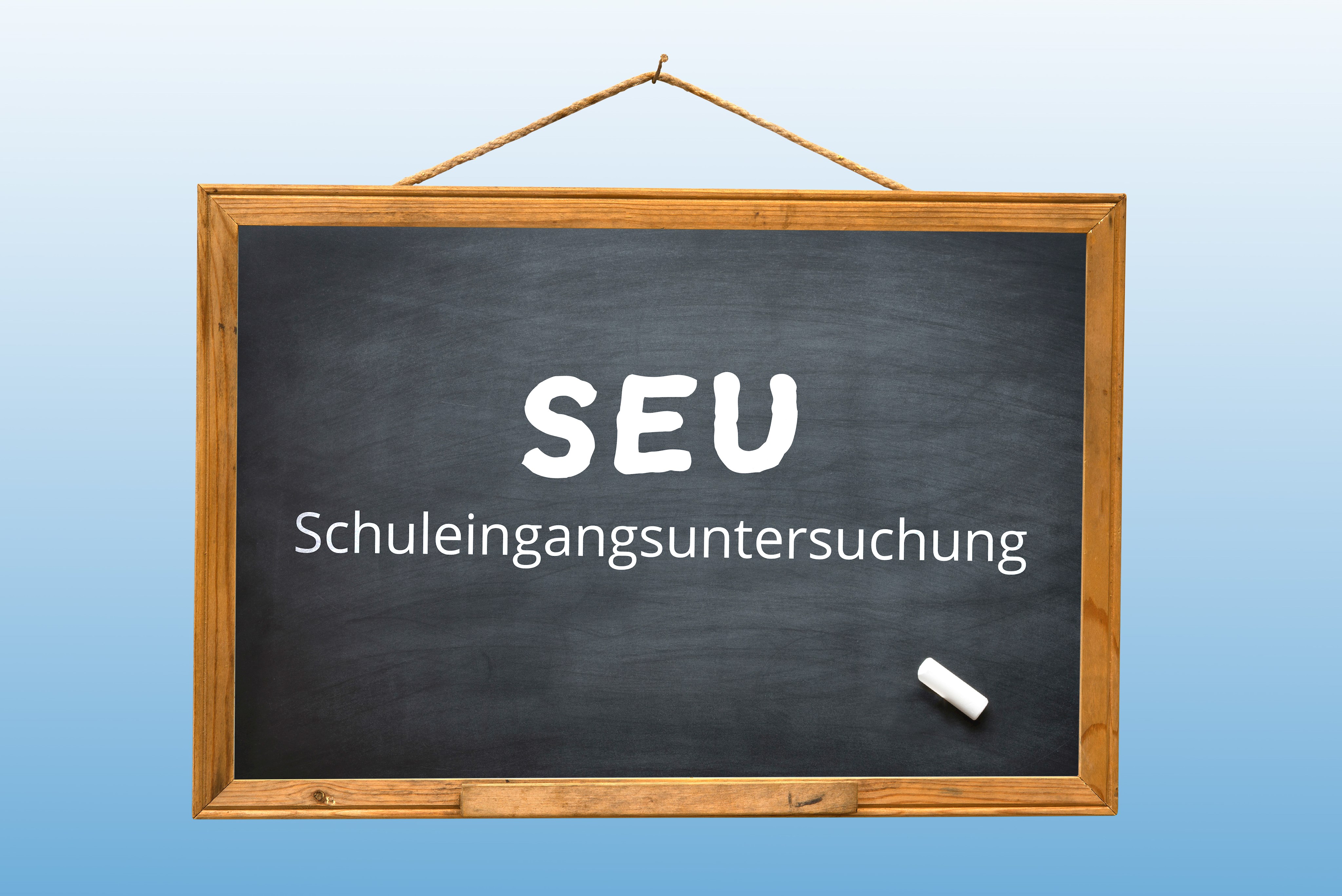 Zur Unterseite der Landkreis Homepage: Schuleingangsscreening