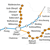 Grafik der Zughaltestellen im Landkreis Cham