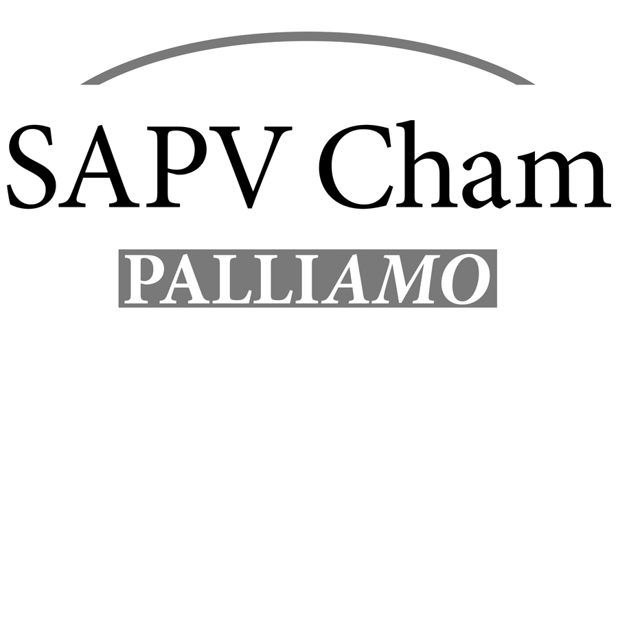 Logo SAPV Cham - Palliamo