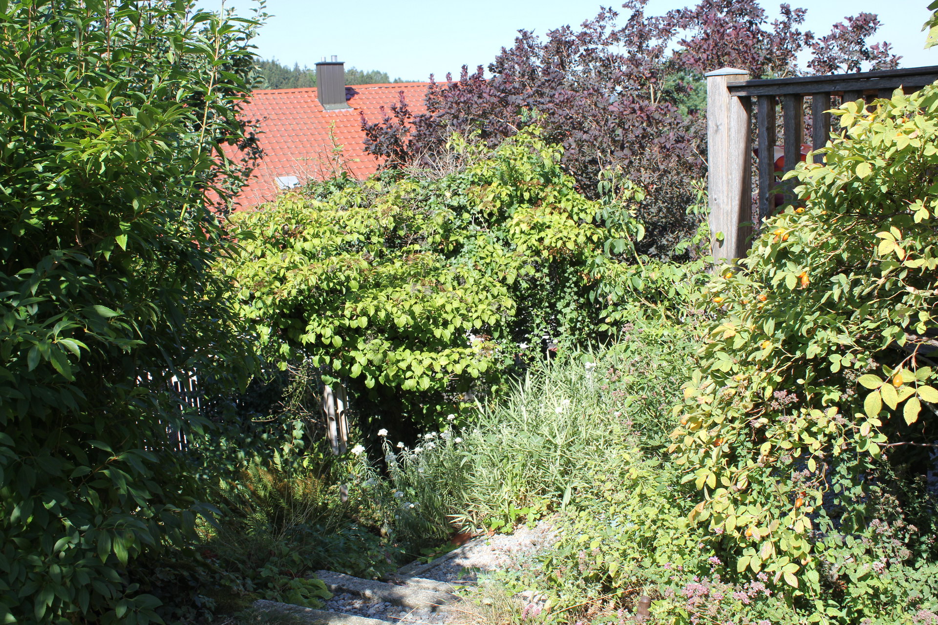 Andrea Neft, Falkenstein2.JPG