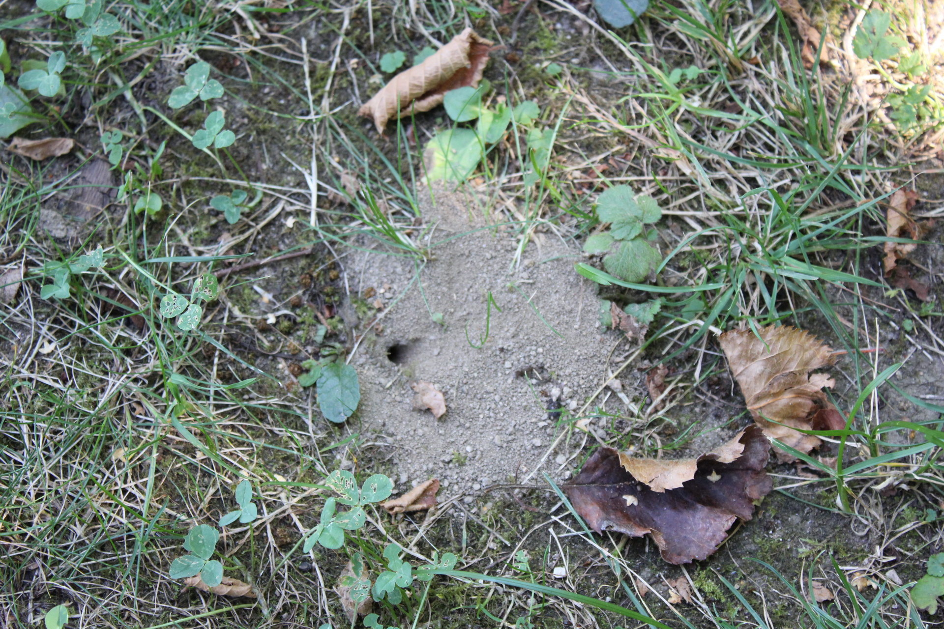 Cornelia und Peter Kiener, Wetterfeld2.JPG