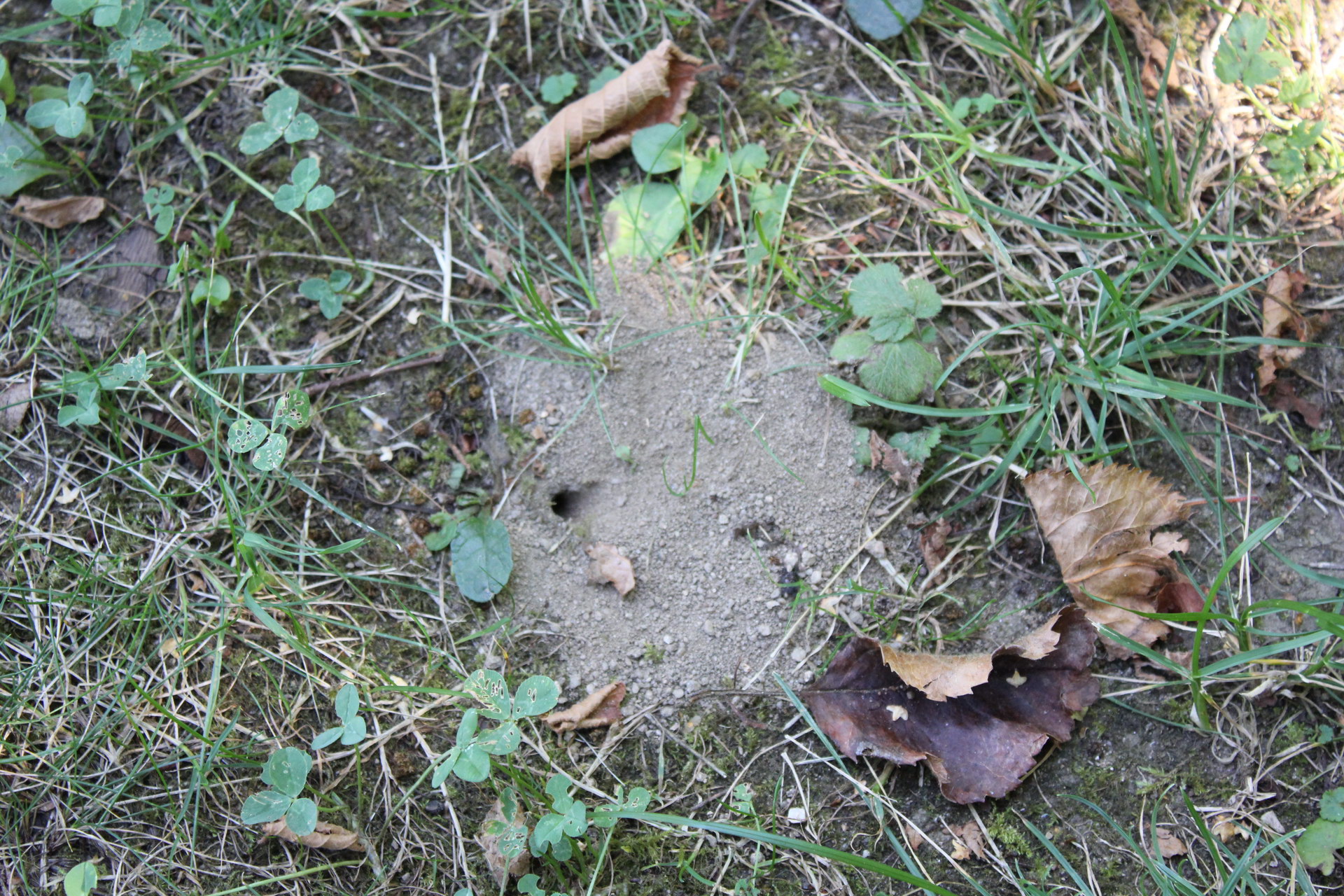 Cornelia und Peter Kiener, Wetterfeld2