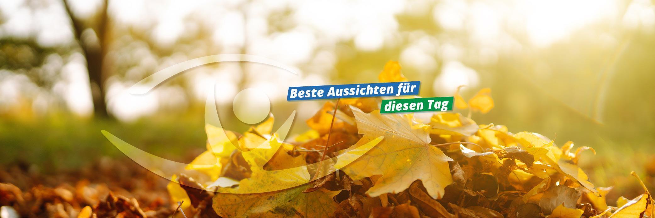 Leider haben wir keinen Alternativtext zu diesem Bild, aber wir arbeiten daran.