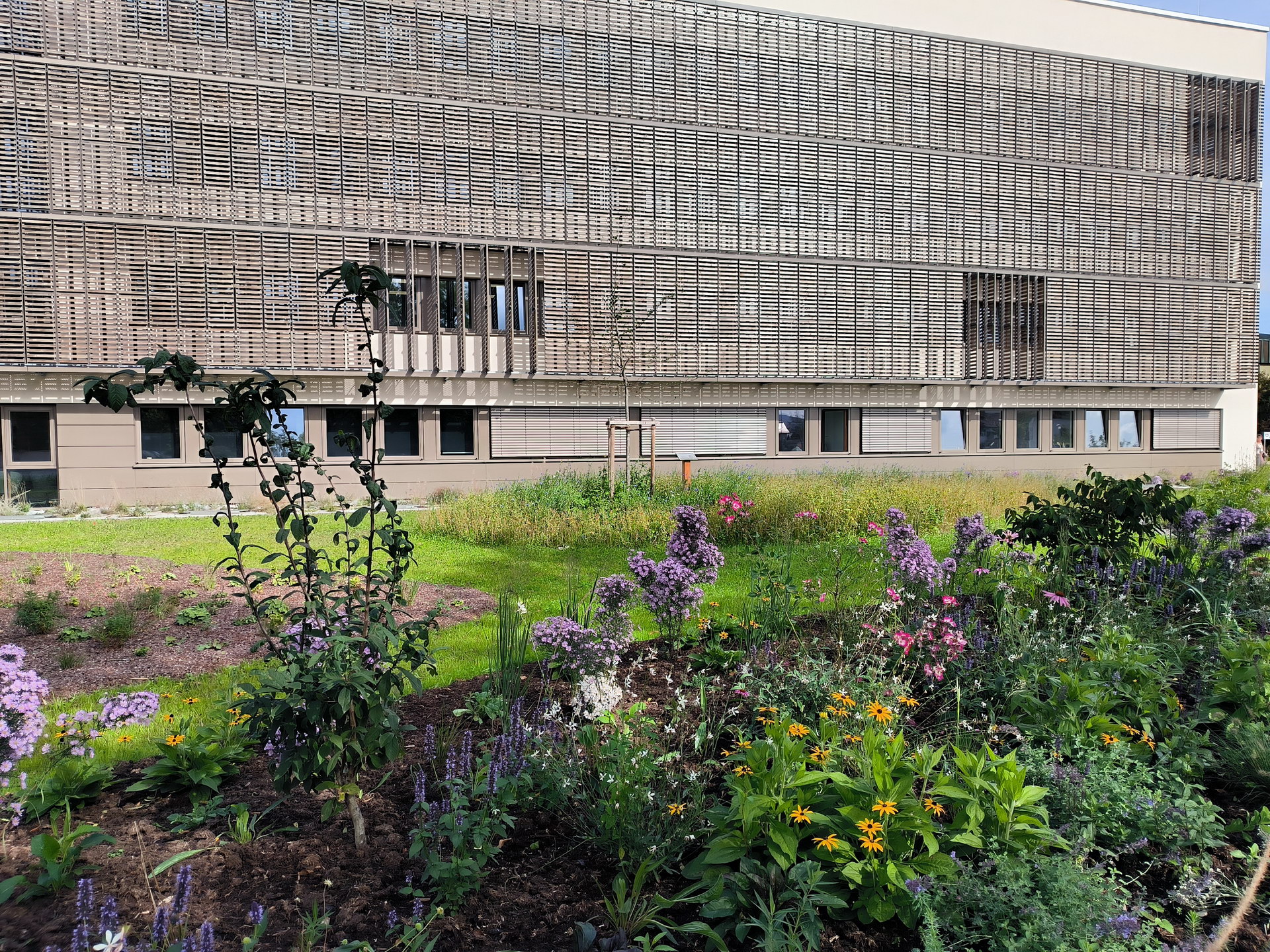 farbenprächtige Blumen vor dem Landkreisamt