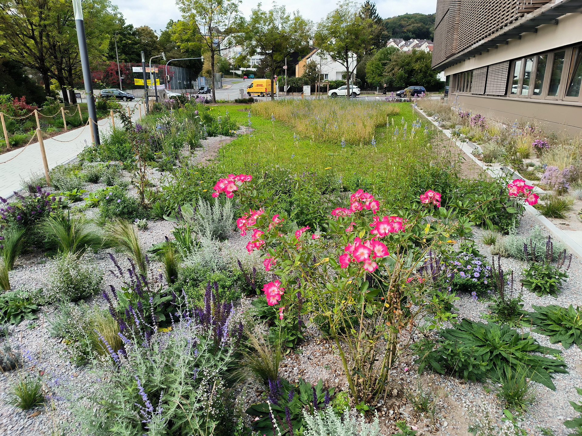 farbenprächtige Blumen vor dem Landkreisamt