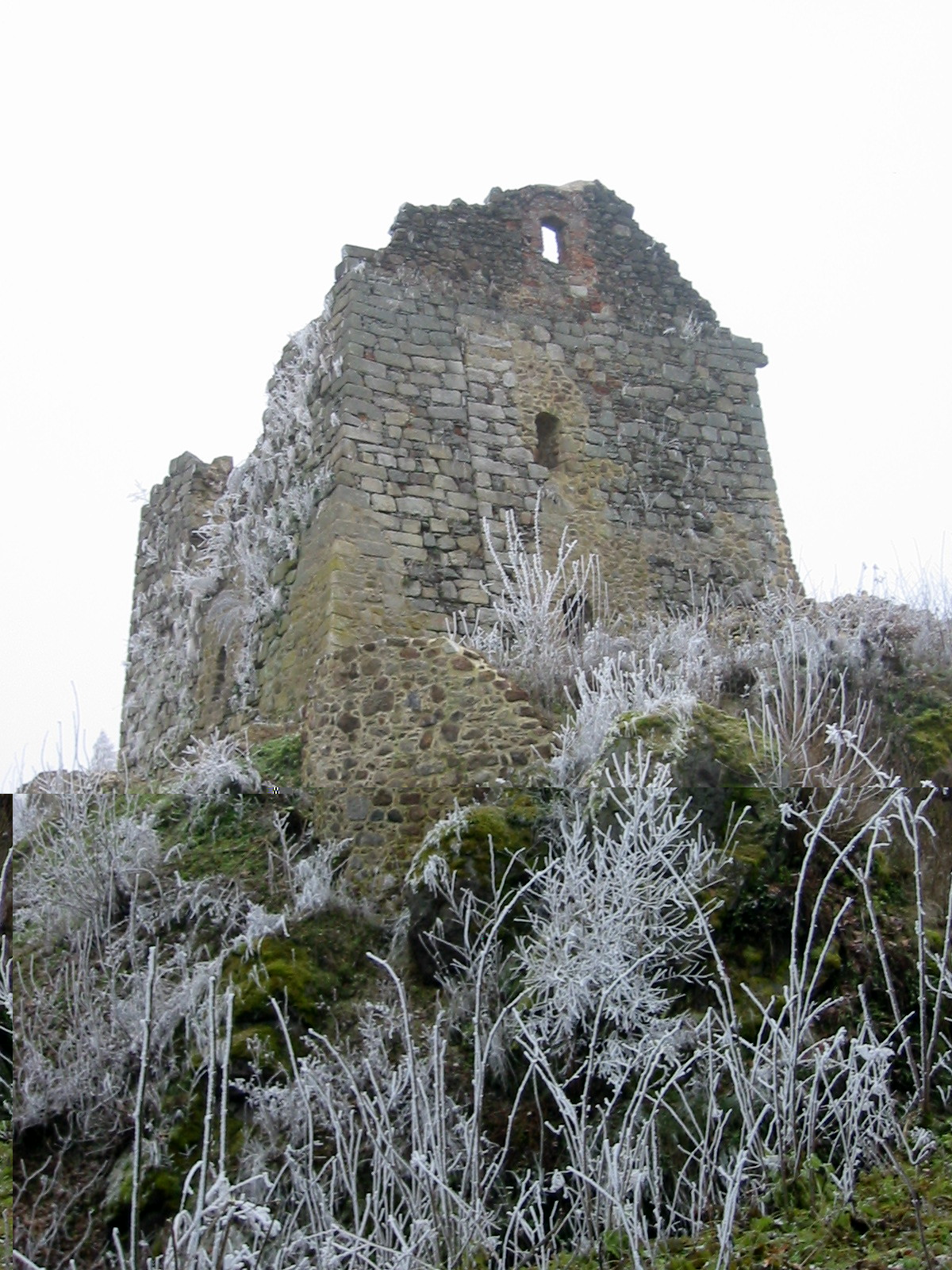 Palas der Burg Runding