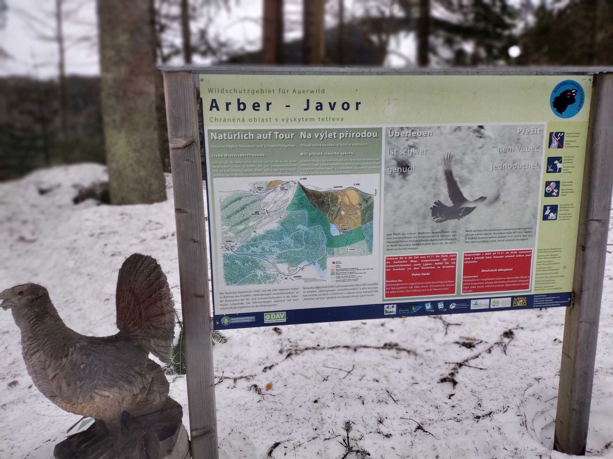 Zur Pressemeldung: Vorsicht beim Wintersport am Kleinen Arbersee