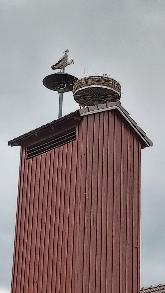 Storchennest Weiding 