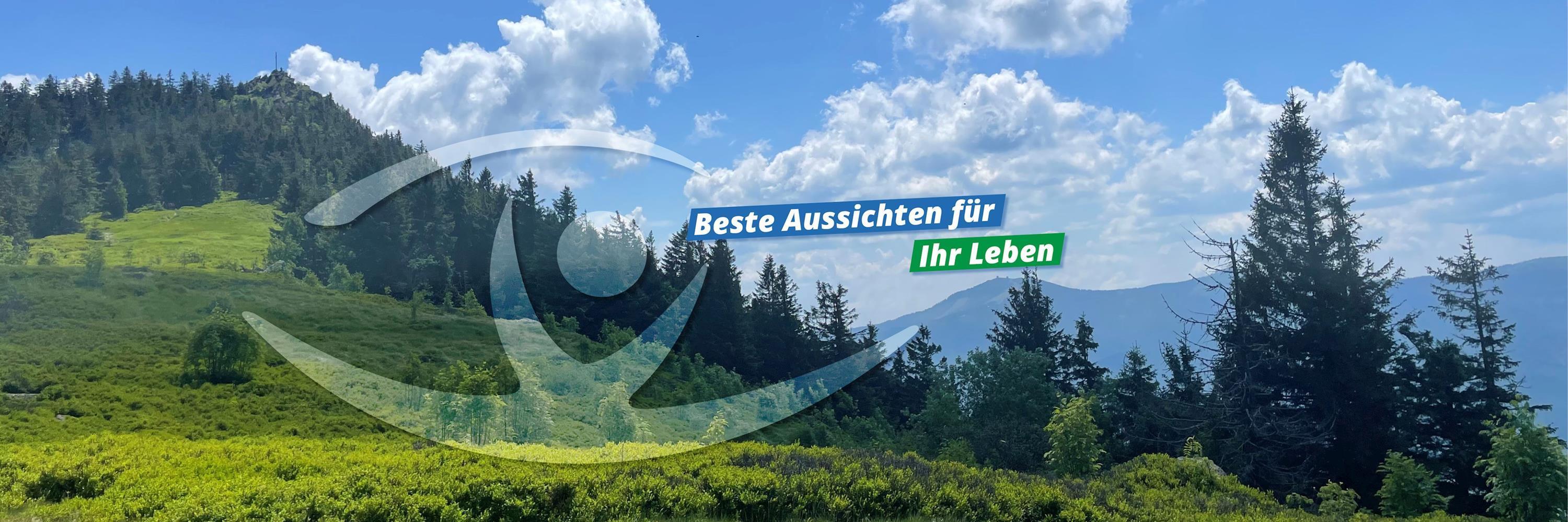 Osserwiese im Sommer - Beschriftung: Beste Aussichten für Ihr Leben