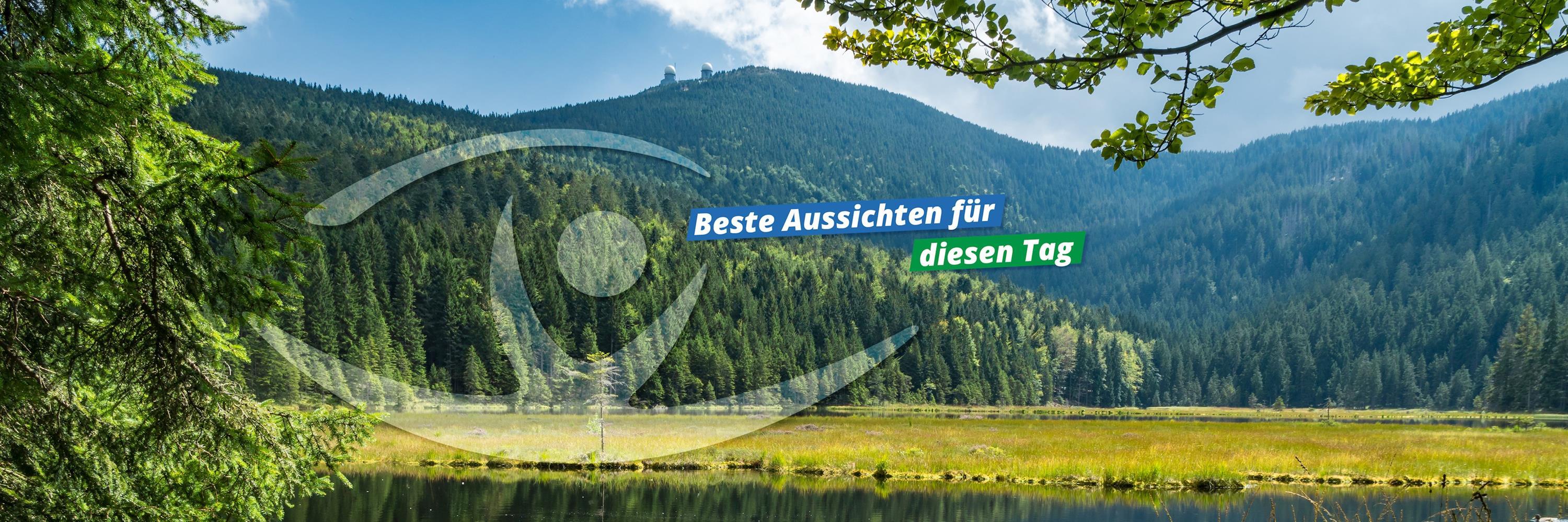 Sommer 2024 (1)