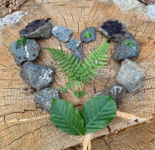 Ein Gruß an die Waldbewohnerinnen