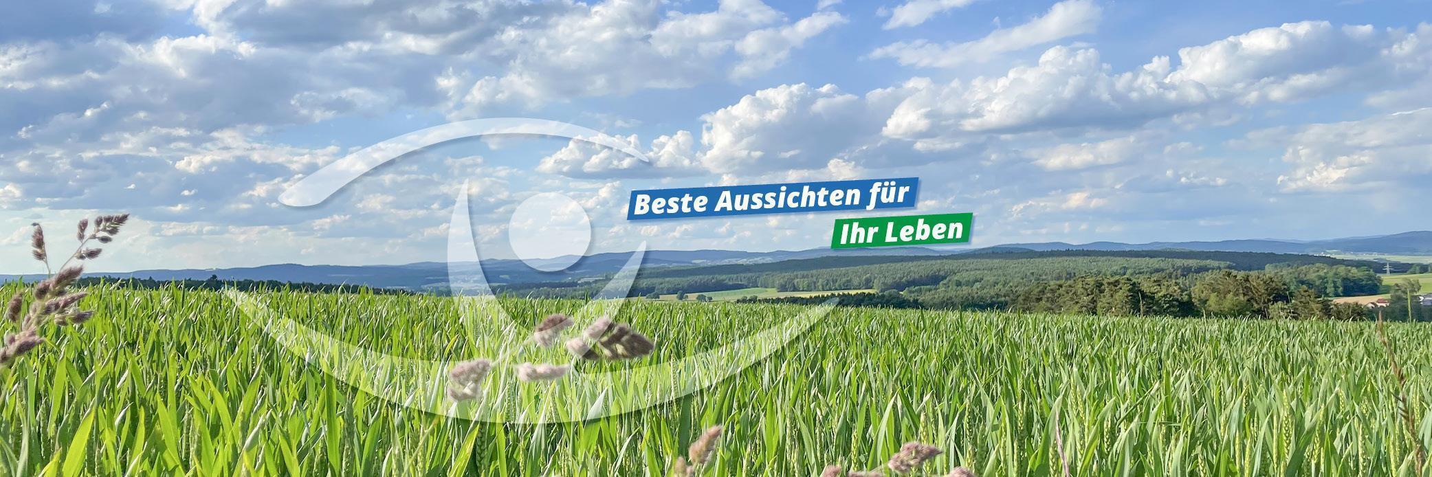 Junges Kornfeld im Bayerischen Wald - Beste Aussichten für Ihr Leben