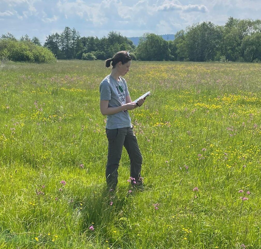 Person auf naturnaher Weide 